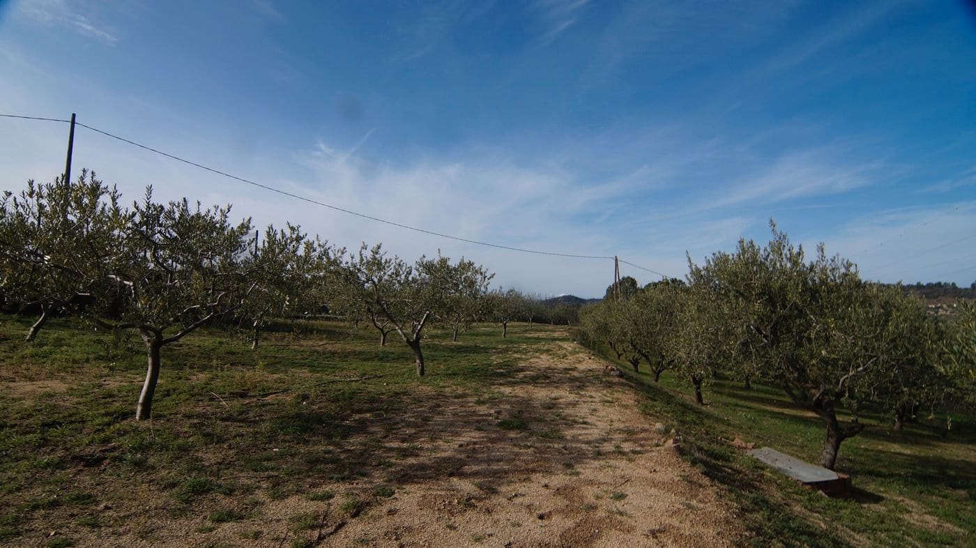 Finca/Hus på landet till salu i Falset - 140 000 € (Ref: 9617956)