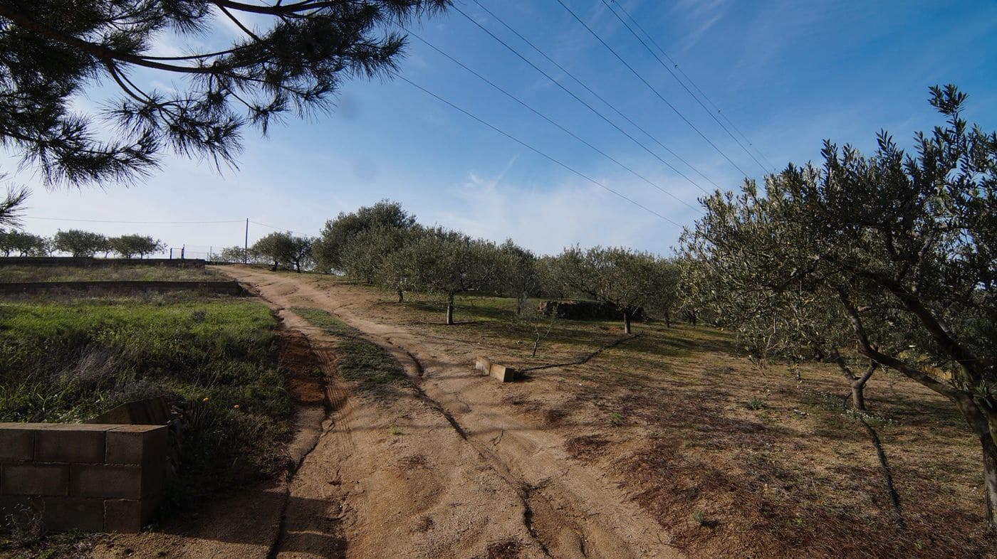 Finca/Hus på landet till salu i Falset - 140 000 € (Ref: 9617956)