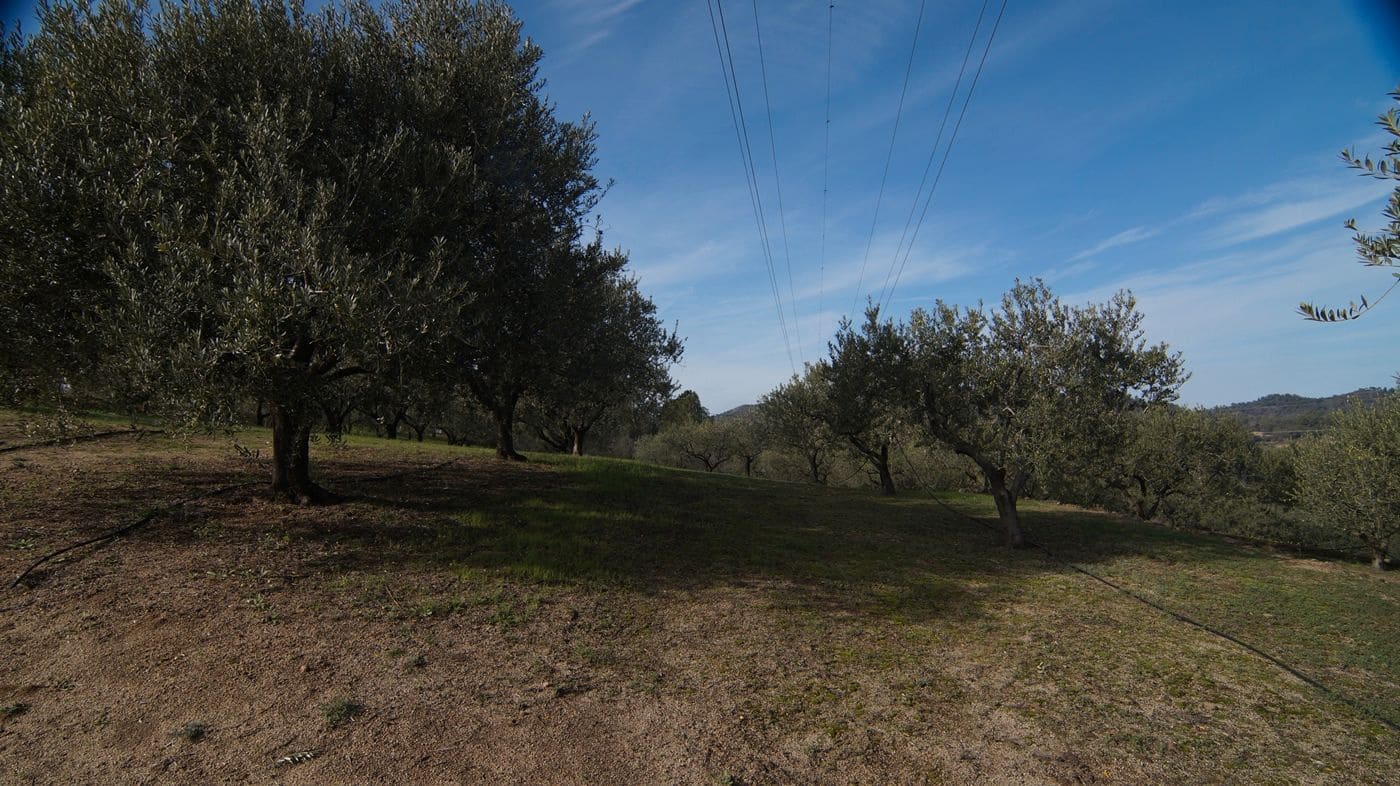 Finca/Hus på landet till salu i Falset - 140 000 € (Ref: 9617956)