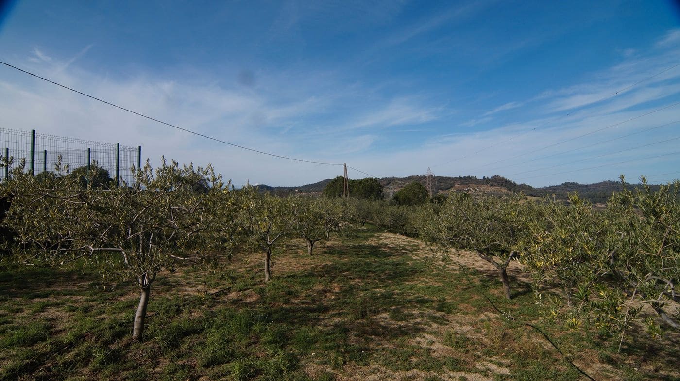 Finca/Hus på landet till salu i Falset - 140 000 € (Ref: 9617956)