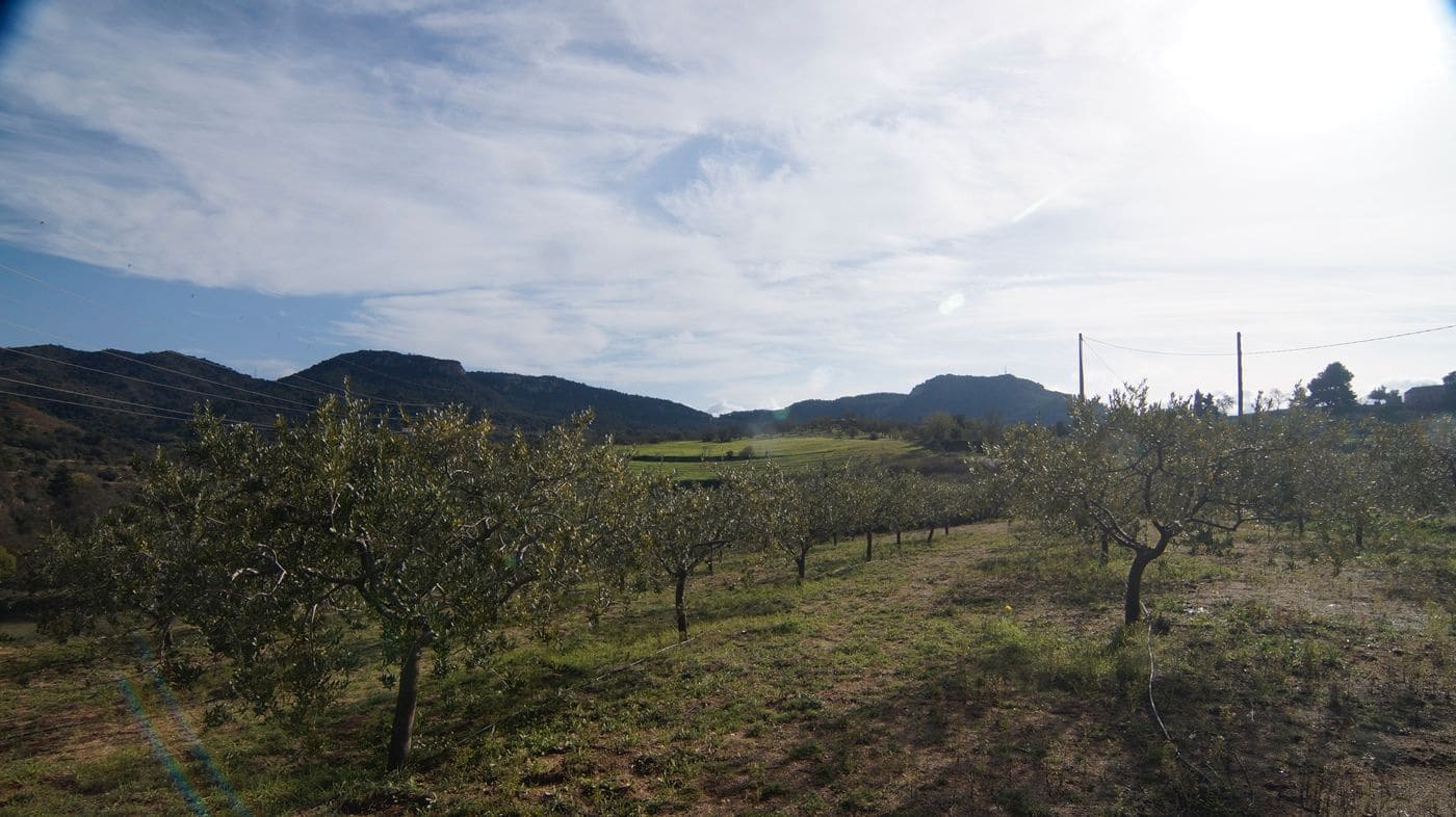 Finca/Hus på landet till salu i Falset - 140 000 € (Ref: 9617956)