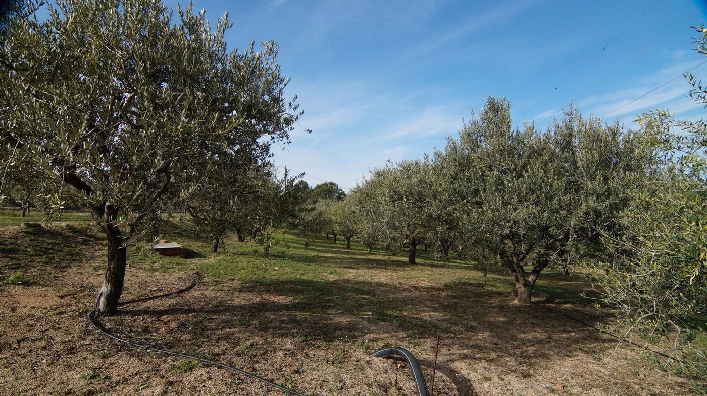 Finca/Hus på landet till salu i Falset - 140 000 € (Ref: 9617956)