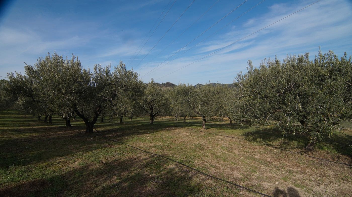 Finca/Hus på landet till salu i Falset - 140 000 € (Ref: 9617956)