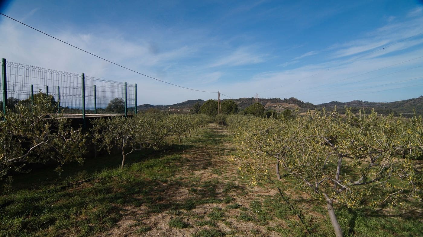 Finca/Hus på landet till salu i Falset - 140 000 € (Ref: 9617956)