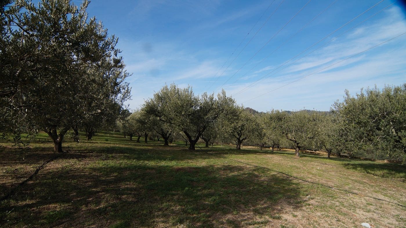 Finca/Hus på landet till salu i Falset - 140 000 € (Ref: 9617956)