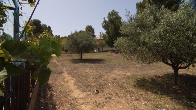 Bauplatz zu verkaufen in Creixell - 160.000 € (Ref: 9617957)