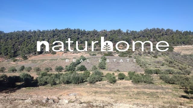 Finca/Landgut zu verkaufen in El Masroig - 65.000 € (Ref: 9617958)