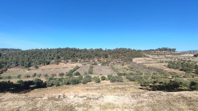Finca/Landgut zu verkaufen in El Masroig - 65.000 € (Ref: 9617958)