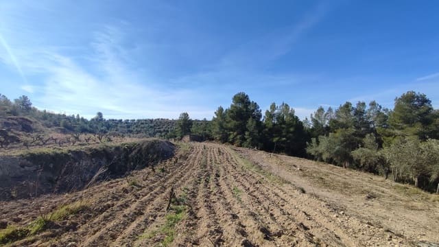 Finca/Landgut zu verkaufen in El Masroig - 65.000 € (Ref: 9617958)