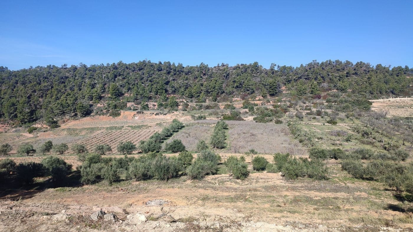 Finca/Hus på landet till salu i El Masroig - 65 000 € (Ref: 9617958)