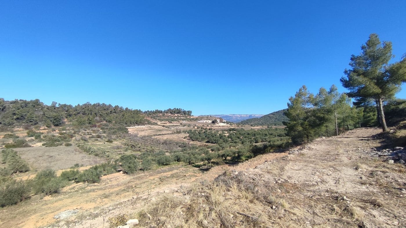 Finca/Hus på landet till salu i El Masroig - 65 000 € (Ref: 9617958)