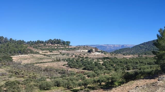 Finca/Landgut zu verkaufen in El Masroig - 65.000 € (Ref: 9617958)