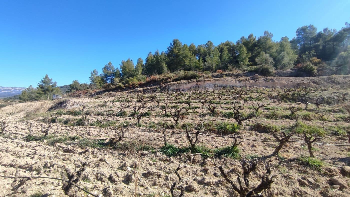 Finca/Hus på landet till salu i El Masroig - 65 000 € (Ref: 9617958)