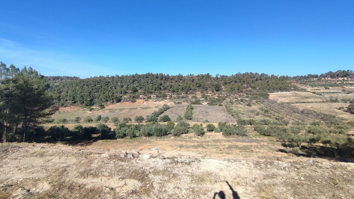 Finca/Hus på landet till salu i El Masroig - 65 000 € (Ref: 9617958)