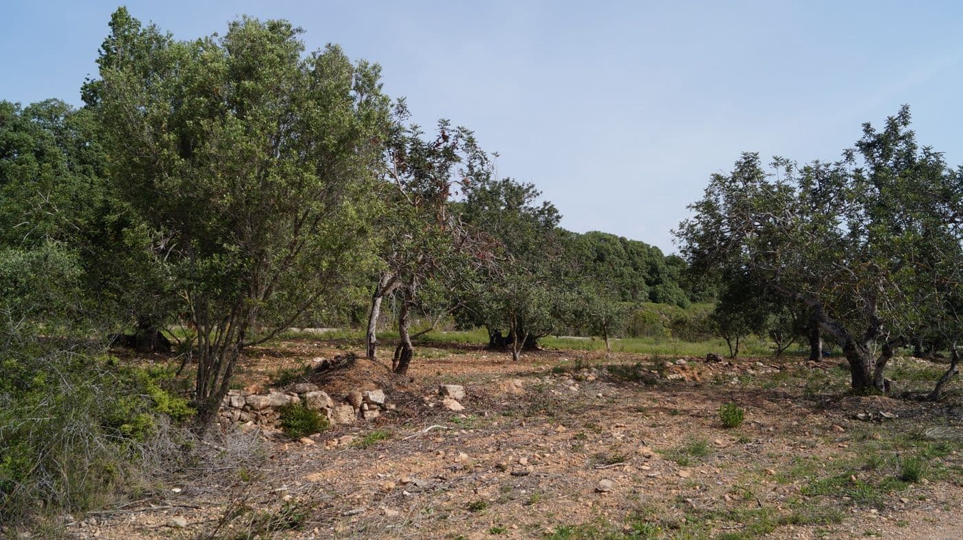 Undeveloped Land for sale in Torredembarra - € 75,000 (Ref: 9617959)