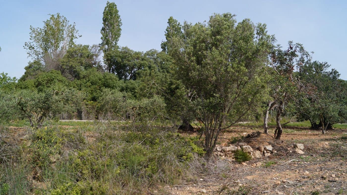 Undeveloped Land for sale in Torredembarra - € 75,000 (Ref: 9617959)
