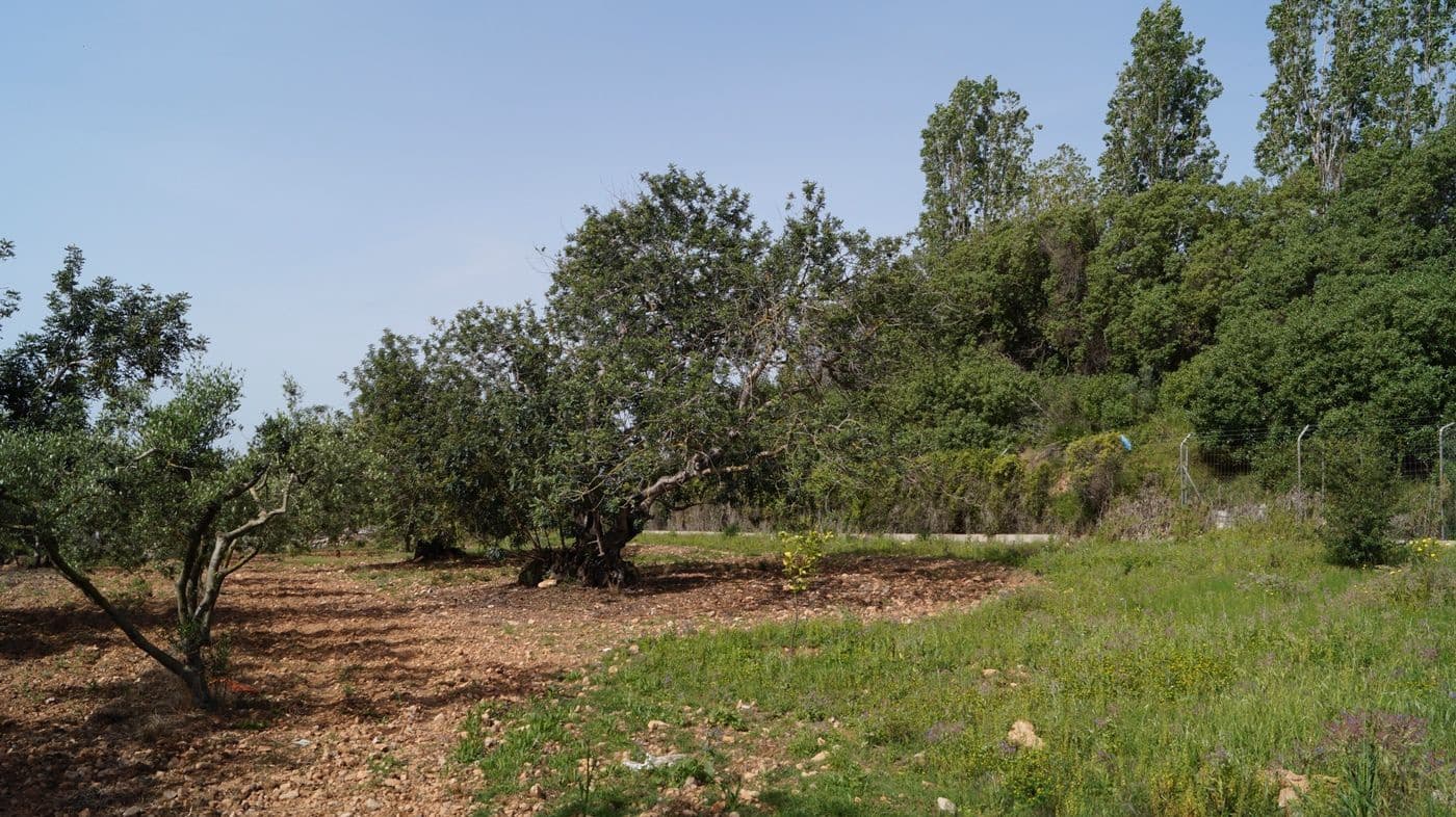 Undeveloped Land for sale in Torredembarra - € 75,000 (Ref: 9617959)