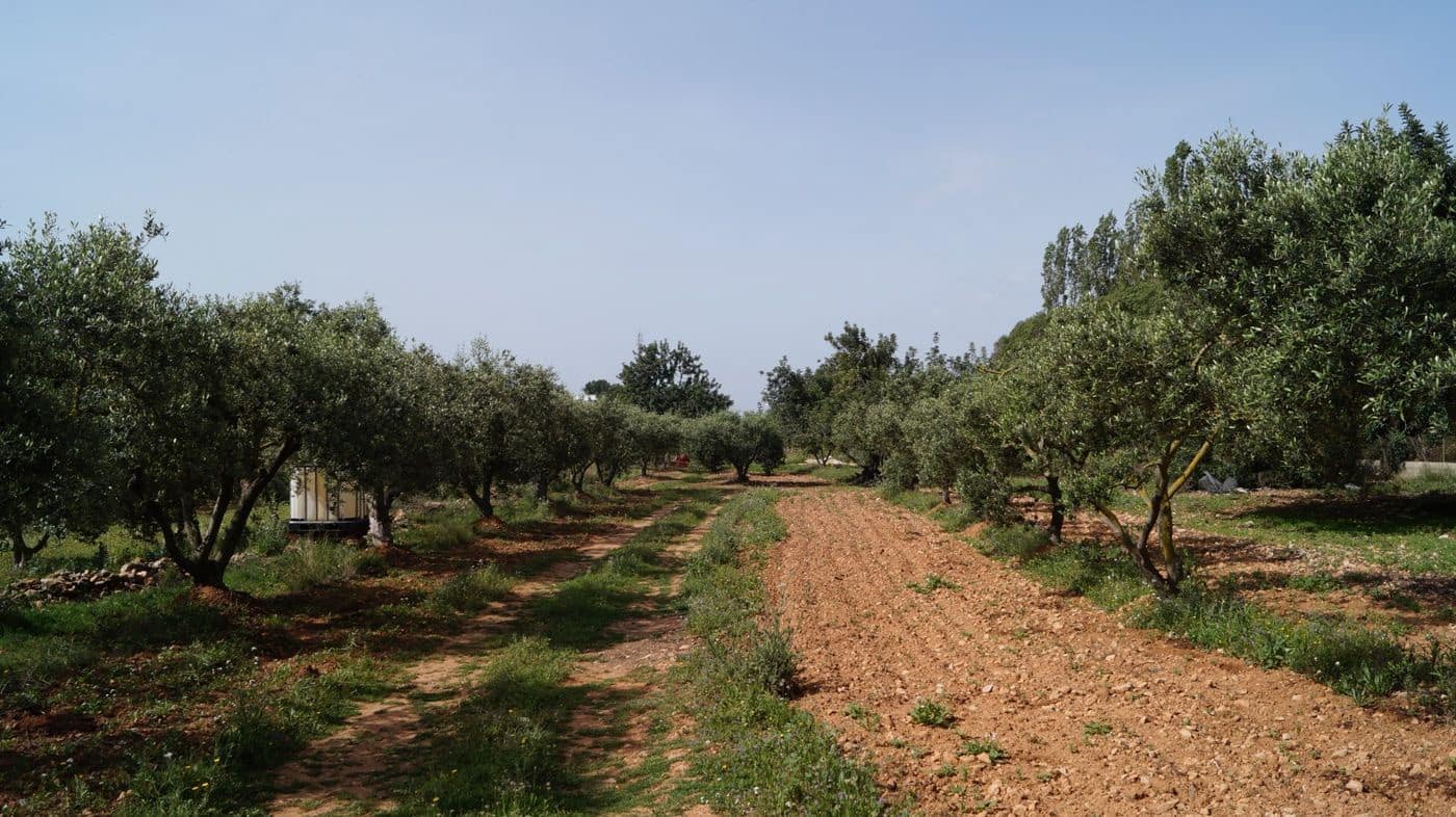Undeveloped Land for sale in Torredembarra - € 75,000 (Ref: 9617959)