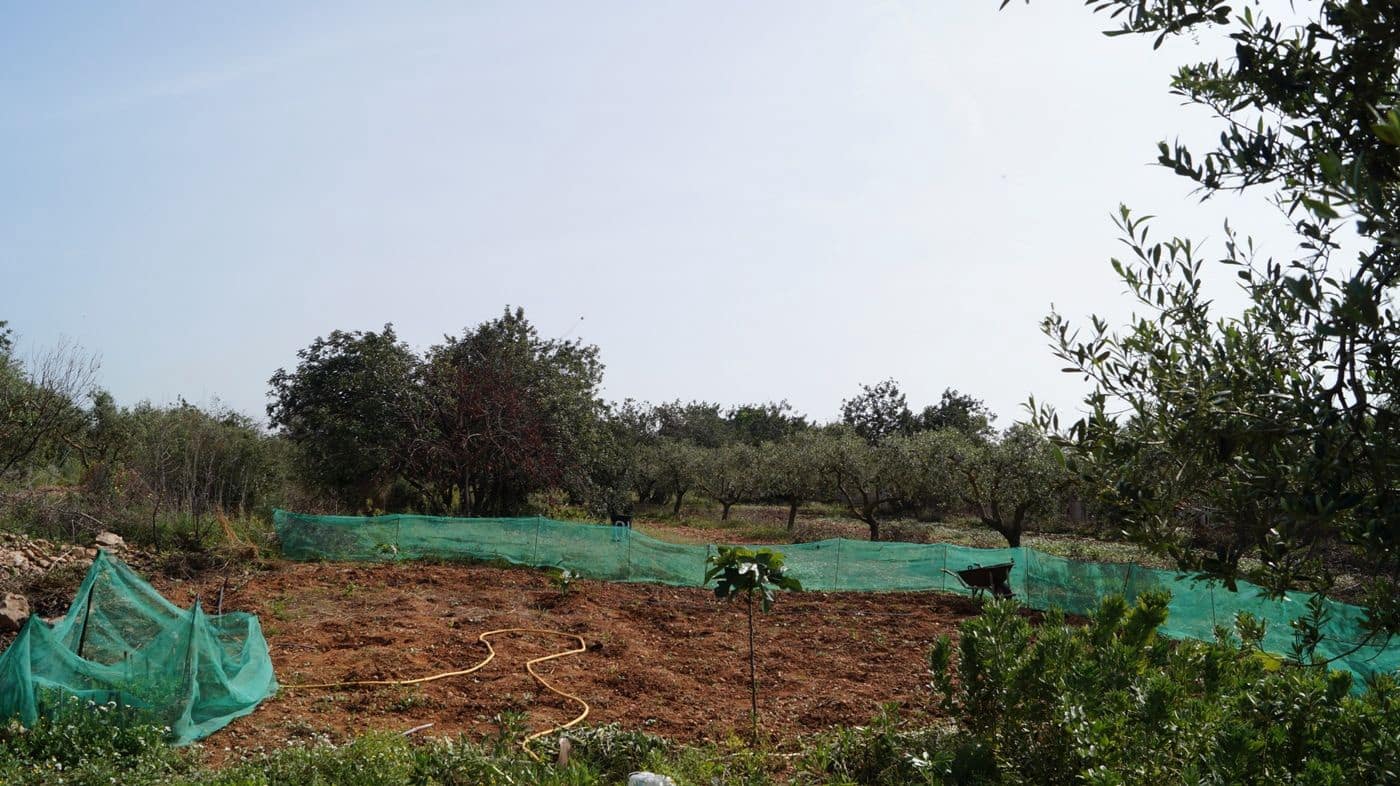 Undeveloped Land for sale in Torredembarra - € 75,000 (Ref: 9617959)