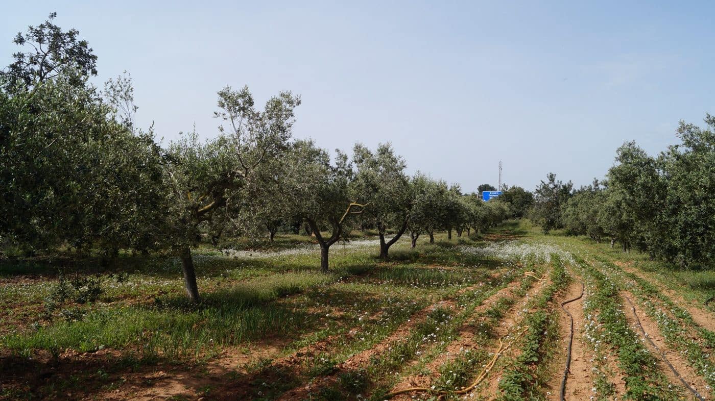 Undeveloped Land for sale in Torredembarra - € 75,000 (Ref: 9617959)