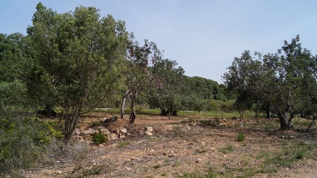 Undeveloped Land for sale in Torredembarra - € 75,000 (Ref: 9617959)