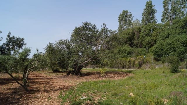 Undeveloped Land for sale in Torredembarra - € 75,000 (Ref: 9617959)
