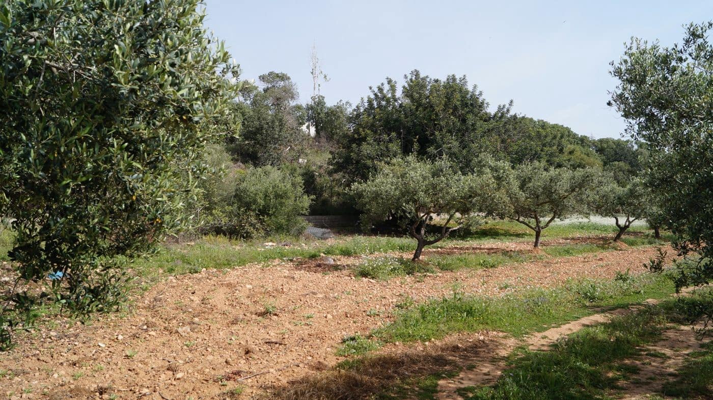 Undeveloped Land for sale in Torredembarra - € 75,000 (Ref: 9617959)
