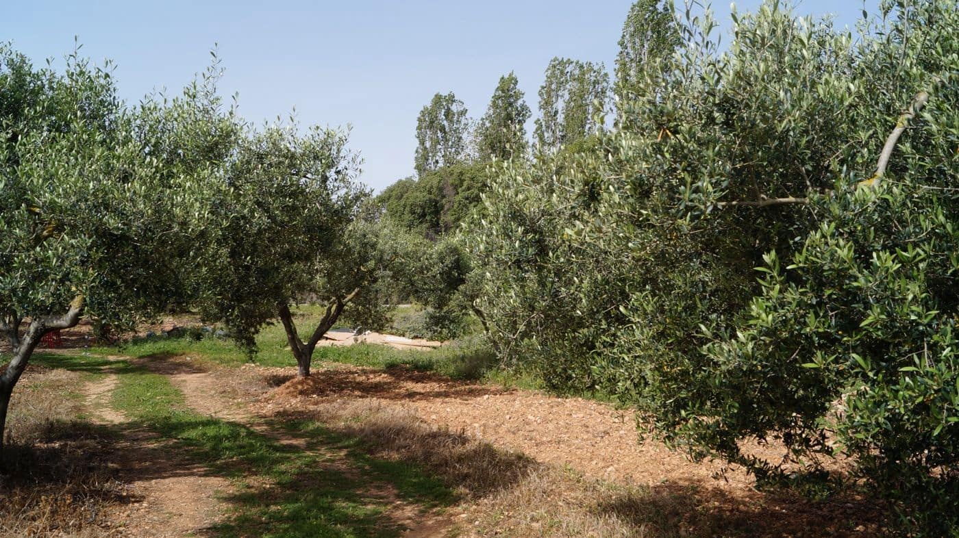 Undeveloped Land for sale in Torredembarra - € 75,000 (Ref: 9617959)