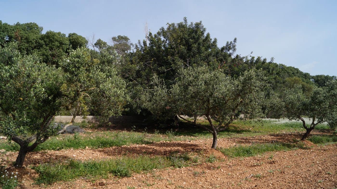 Undeveloped Land for sale in Torredembarra - € 75,000 (Ref: 9617959)