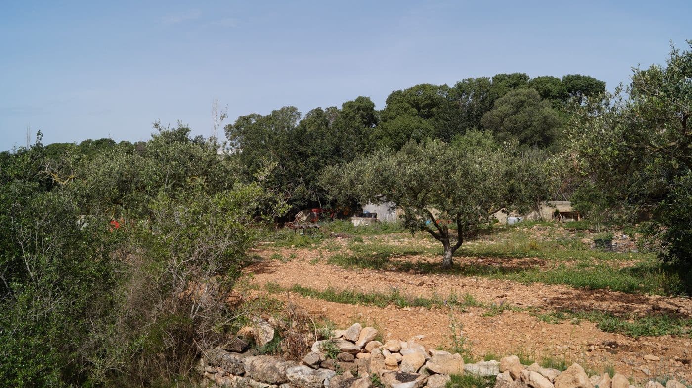 Undeveloped Land for sale in Torredembarra - € 75,000 (Ref: 9617959)