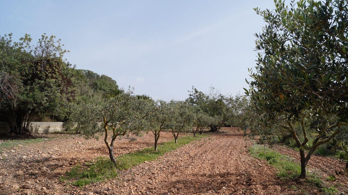 Undeveloped Land for sale in Torredembarra - € 75,000 (Ref: 9617959)
