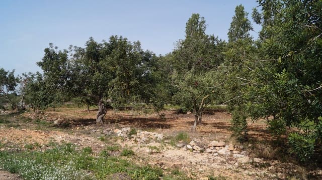 Undeveloped Land for sale in Torredembarra - € 75,000 (Ref: 9617959)