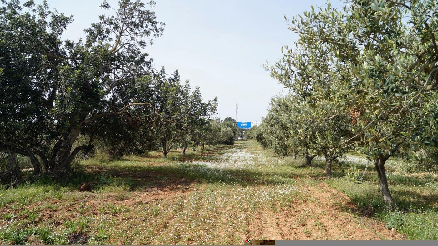 Undeveloped Land for sale in Torredembarra - € 75,000 (Ref: 9617959)