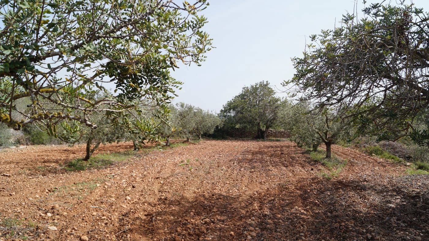 Undeveloped Land for sale in Torredembarra - € 75,000 (Ref: 9617959)