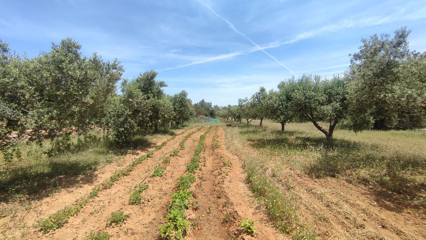 Undeveloped Land for sale in Torredembarra - € 75,000 (Ref: 9617959)