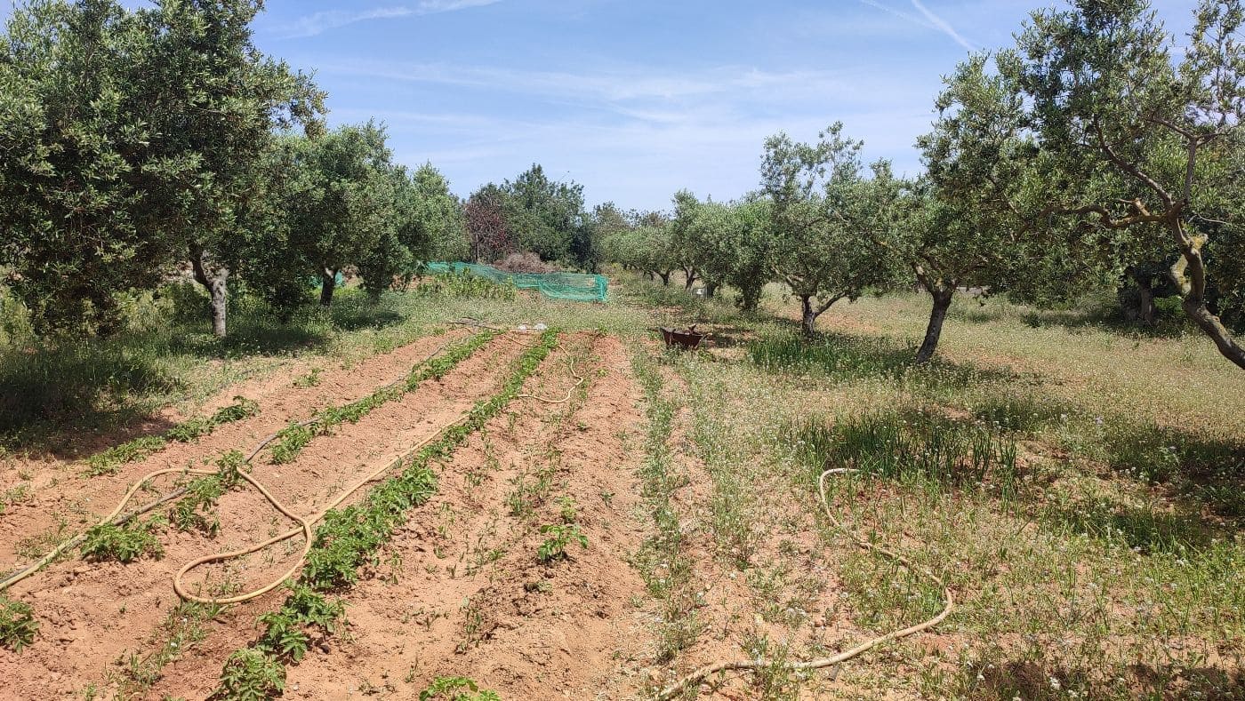 Undeveloped Land for sale in Torredembarra - € 75,000 (Ref: 9617959)