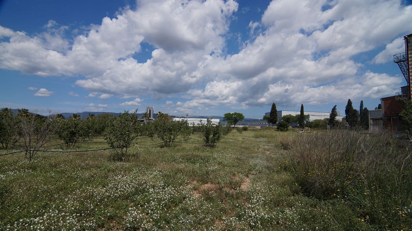 Commercieel te koop in Vilallonga del Camp - € 600.000 (Ref: 9617960)