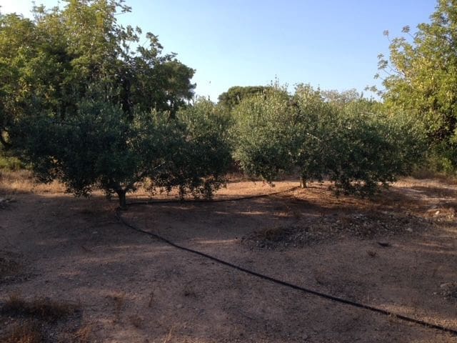 5 chambre Finca/Maison de Campagne à vendre à Valls avec garage - 195 000 € (Ref: 9617961)