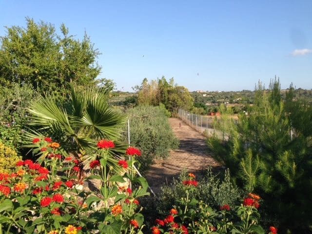5 chambre Finca/Maison de Campagne à vendre à Valls avec garage - 195 000 € (Ref: 9617961)