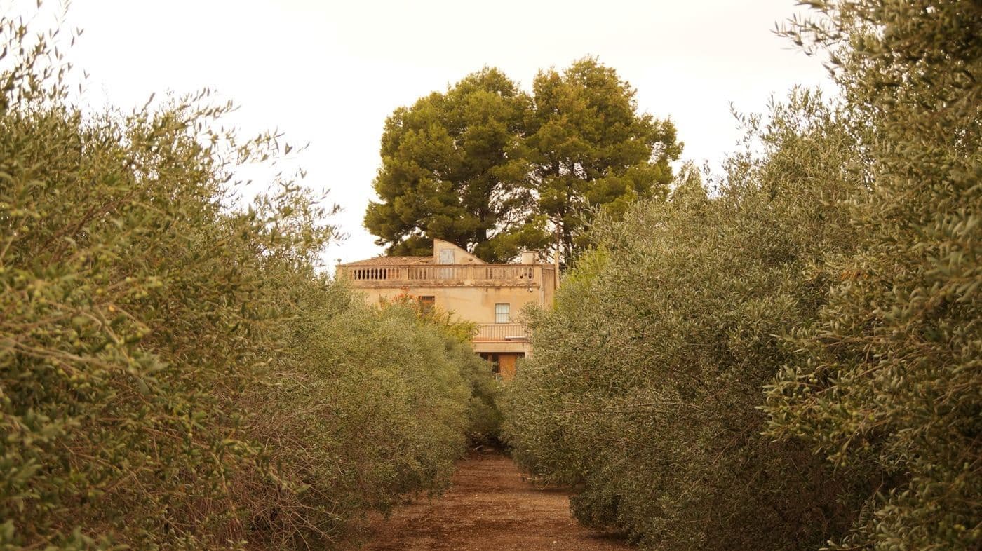 5 chambre Finca/Maison de Campagne à vendre à Valls avec garage - 195 000 € (Ref: 9617961)