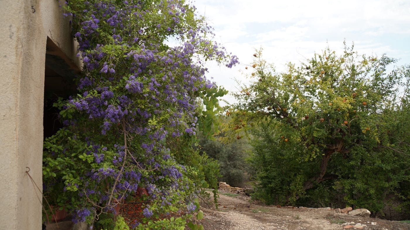 5 chambre Finca/Maison de Campagne à vendre à Valls avec garage - 195 000 € (Ref: 9617961)