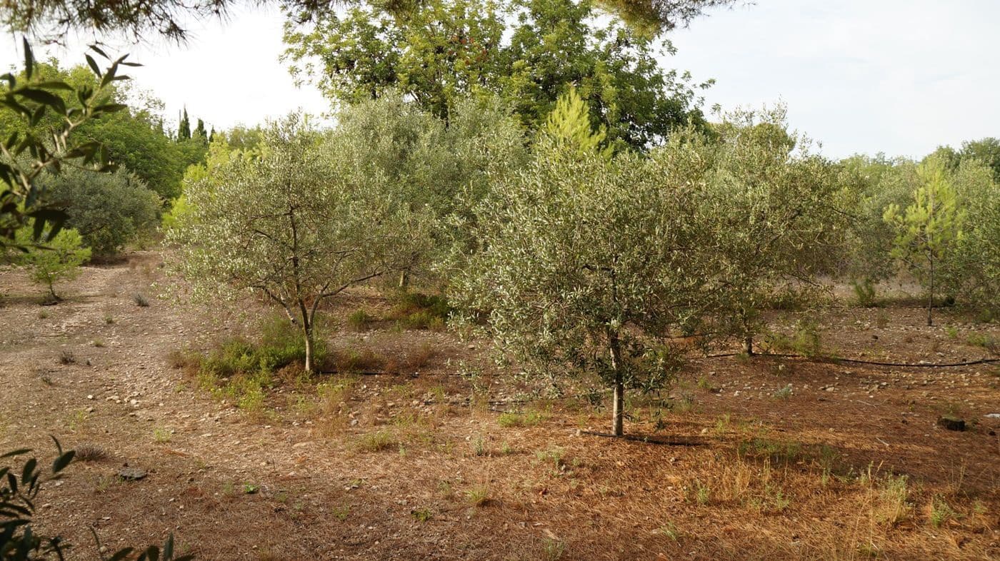 5 chambre Finca/Maison de Campagne à vendre à Valls avec garage - 195 000 € (Ref: 9617961)