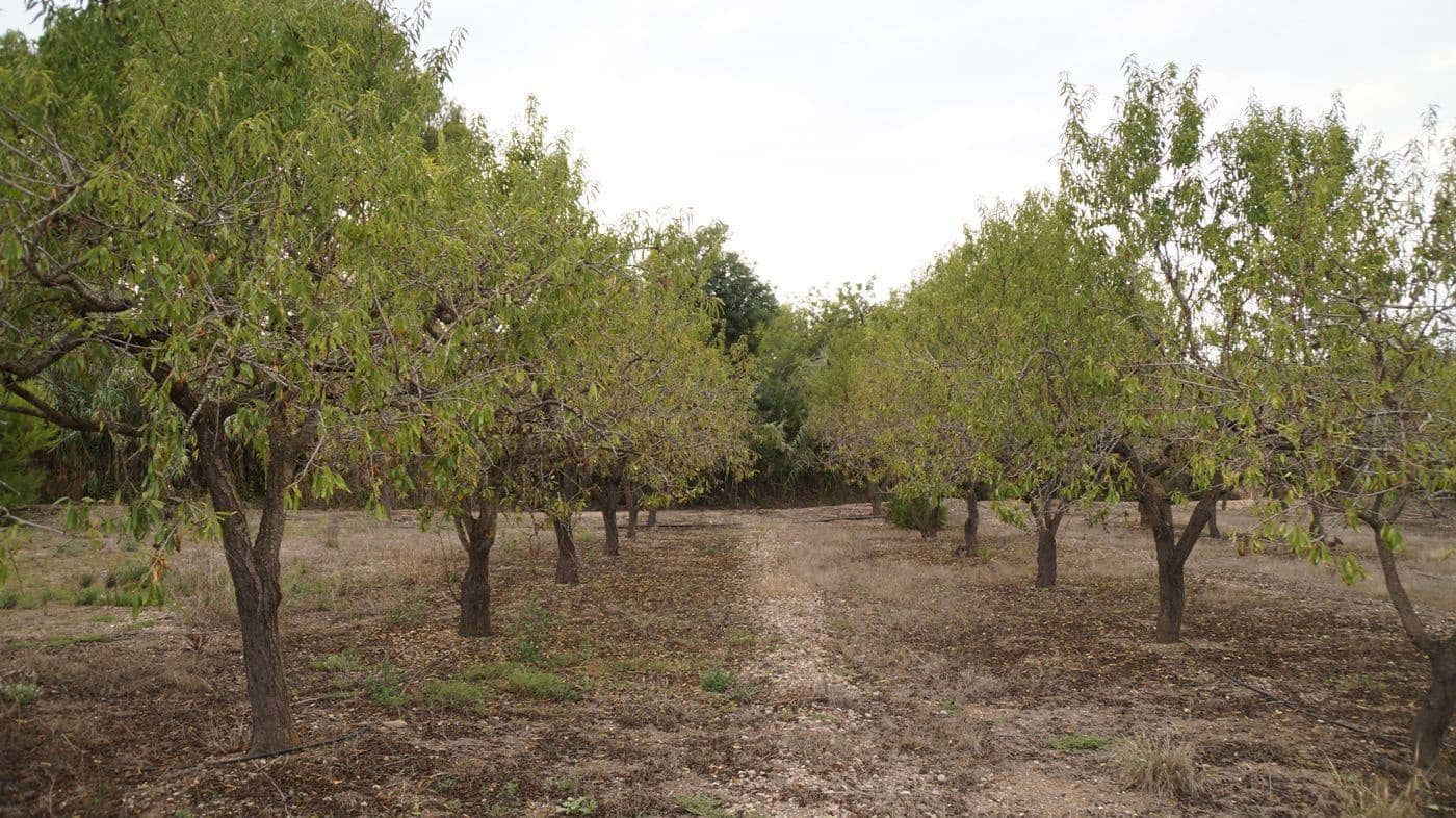 5 chambre Finca/Maison de Campagne à vendre à Valls avec garage - 195 000 € (Ref: 9617961)