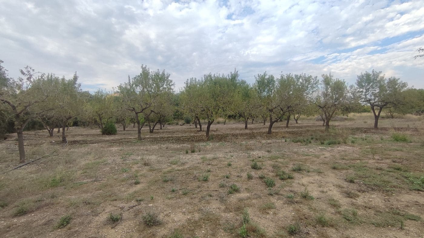 5 chambre Finca/Maison de Campagne à vendre à Valls avec garage - 195 000 € (Ref: 9617961)