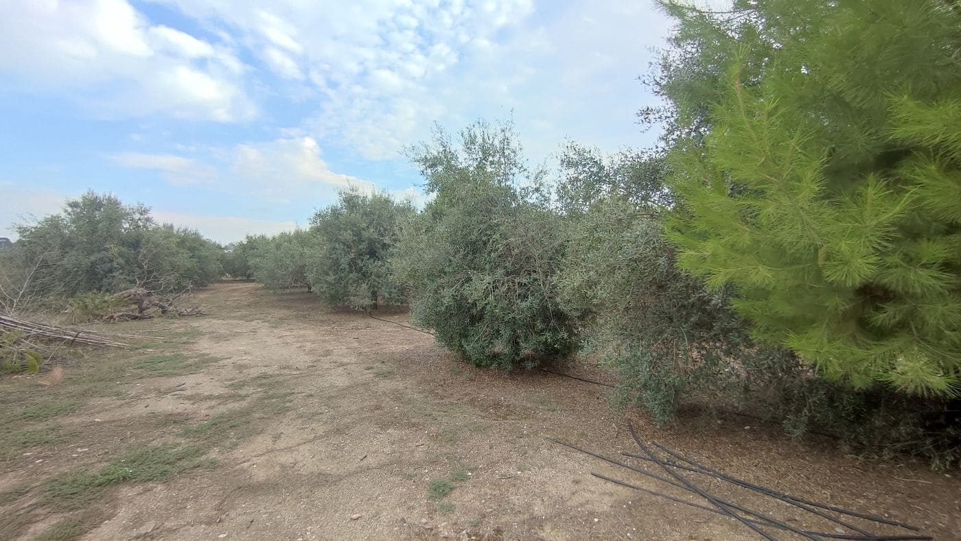 5 chambre Finca/Maison de Campagne à vendre à Valls avec garage - 195 000 € (Ref: 9617961)