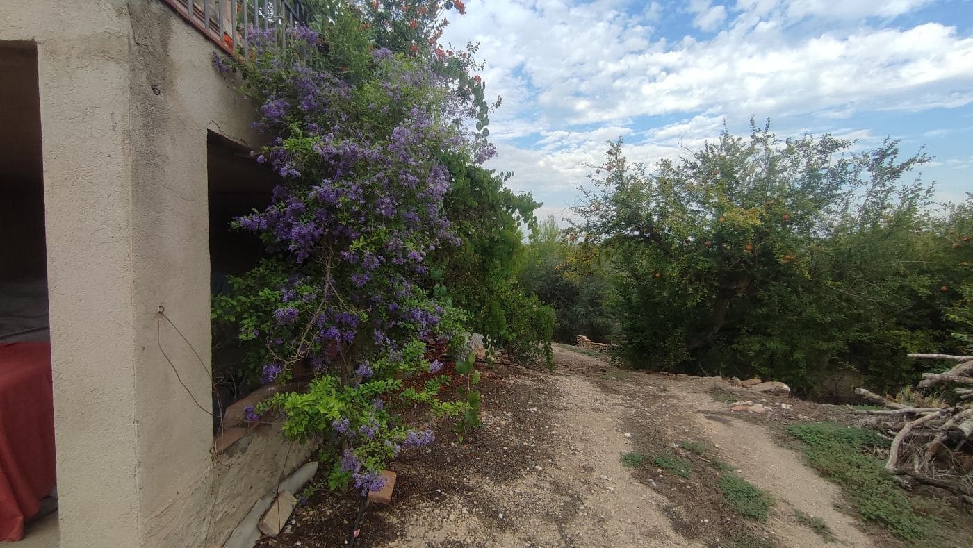 5 chambre Finca/Maison de Campagne à vendre à Valls avec garage - 195 000 € (Ref: 9617961)