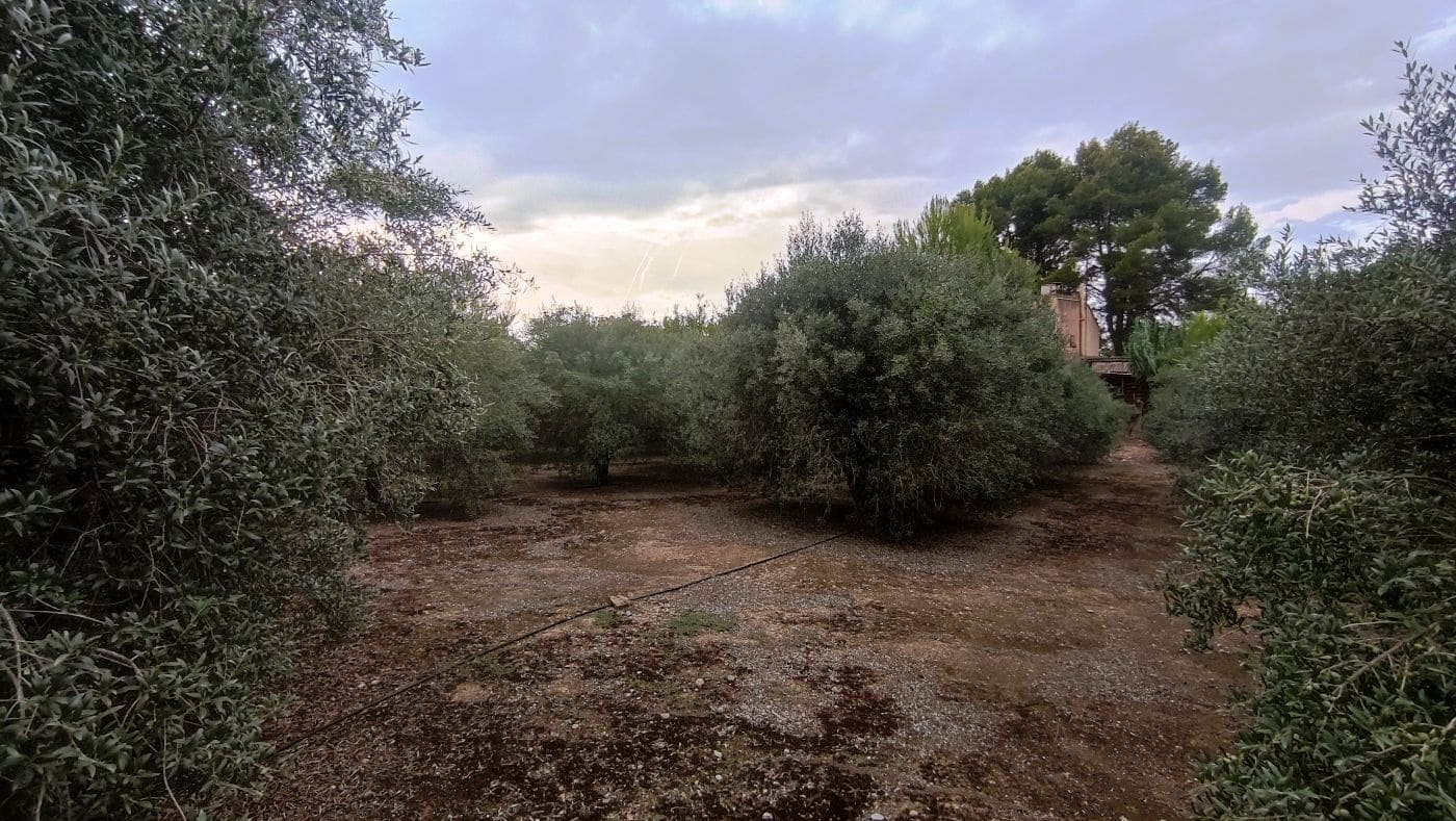 5 chambre Finca/Maison de Campagne à vendre à Valls avec garage - 195 000 € (Ref: 9617961)