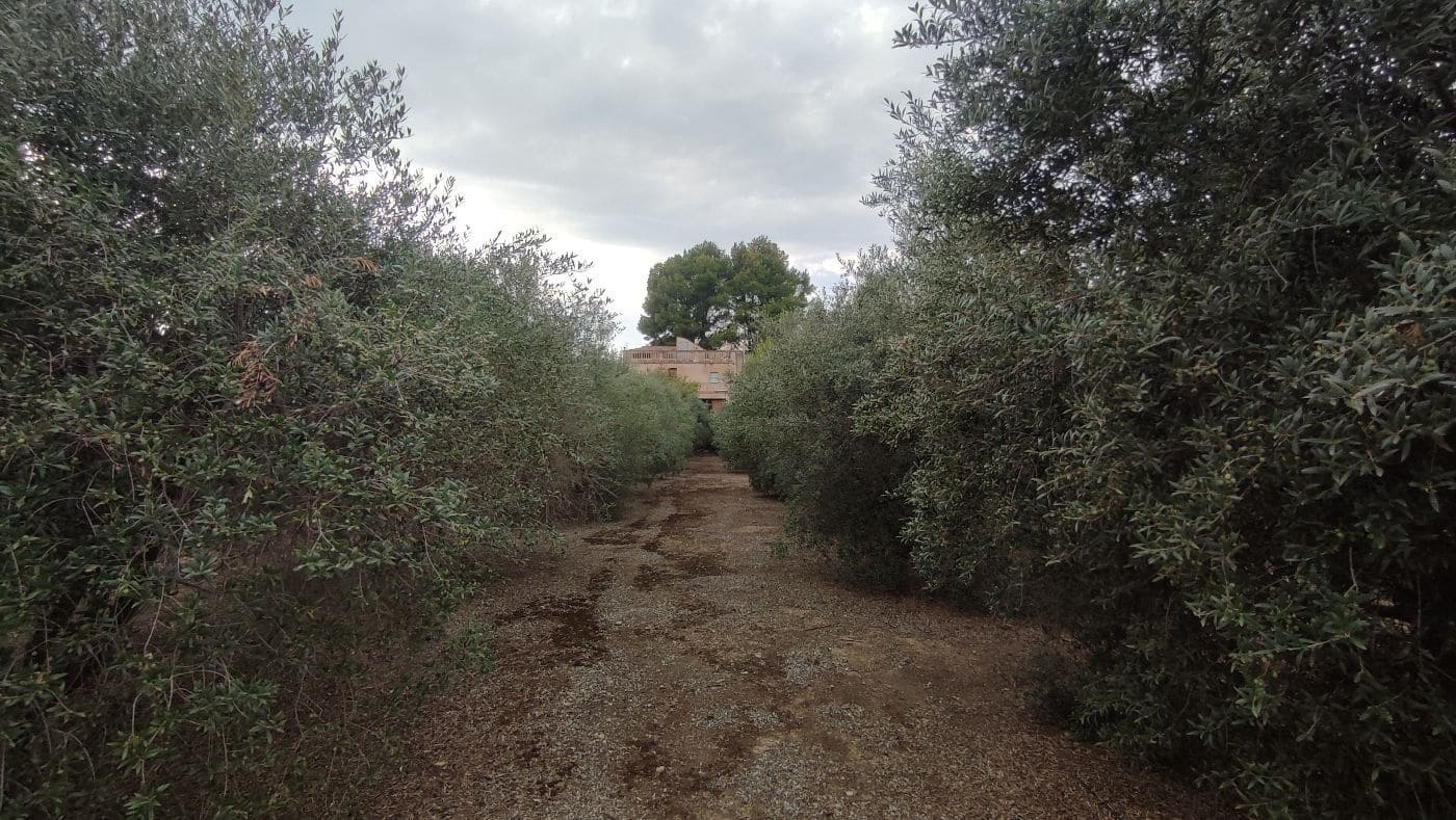 5 chambre Finca/Maison de Campagne à vendre à Valls avec garage - 195 000 € (Ref: 9617961)