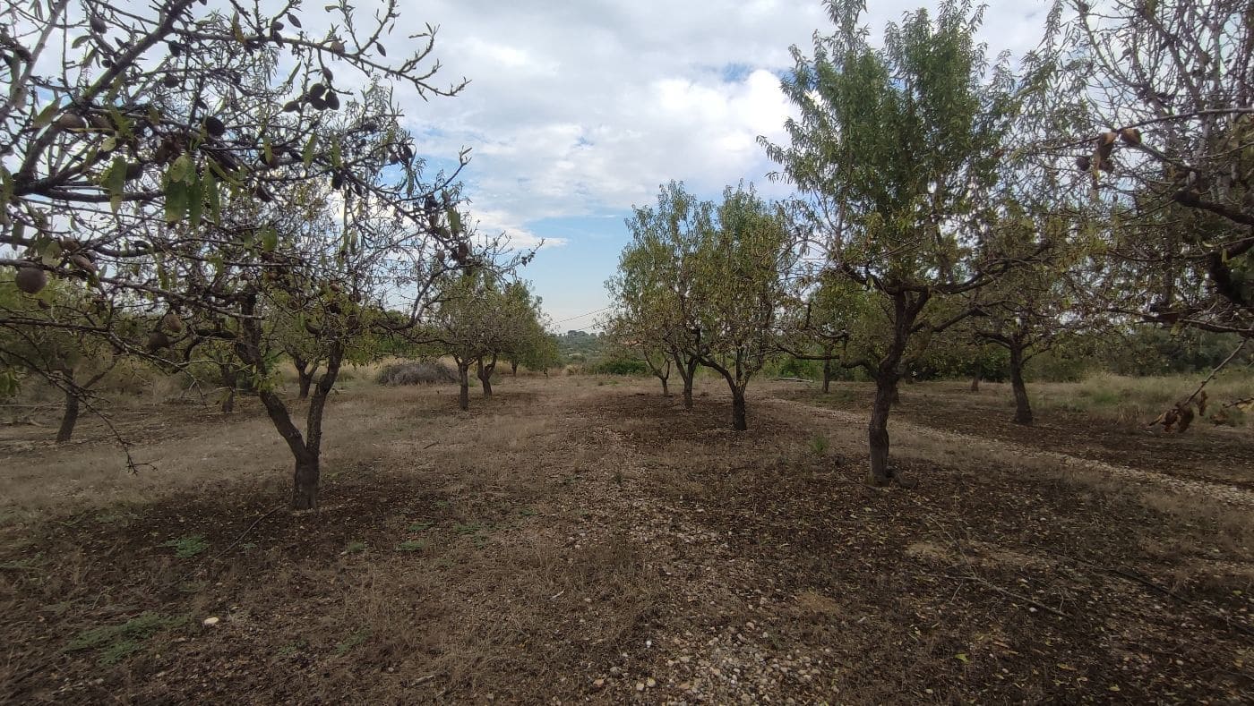 5 chambre Finca/Maison de Campagne à vendre à Valls avec garage - 195 000 € (Ref: 9617961)