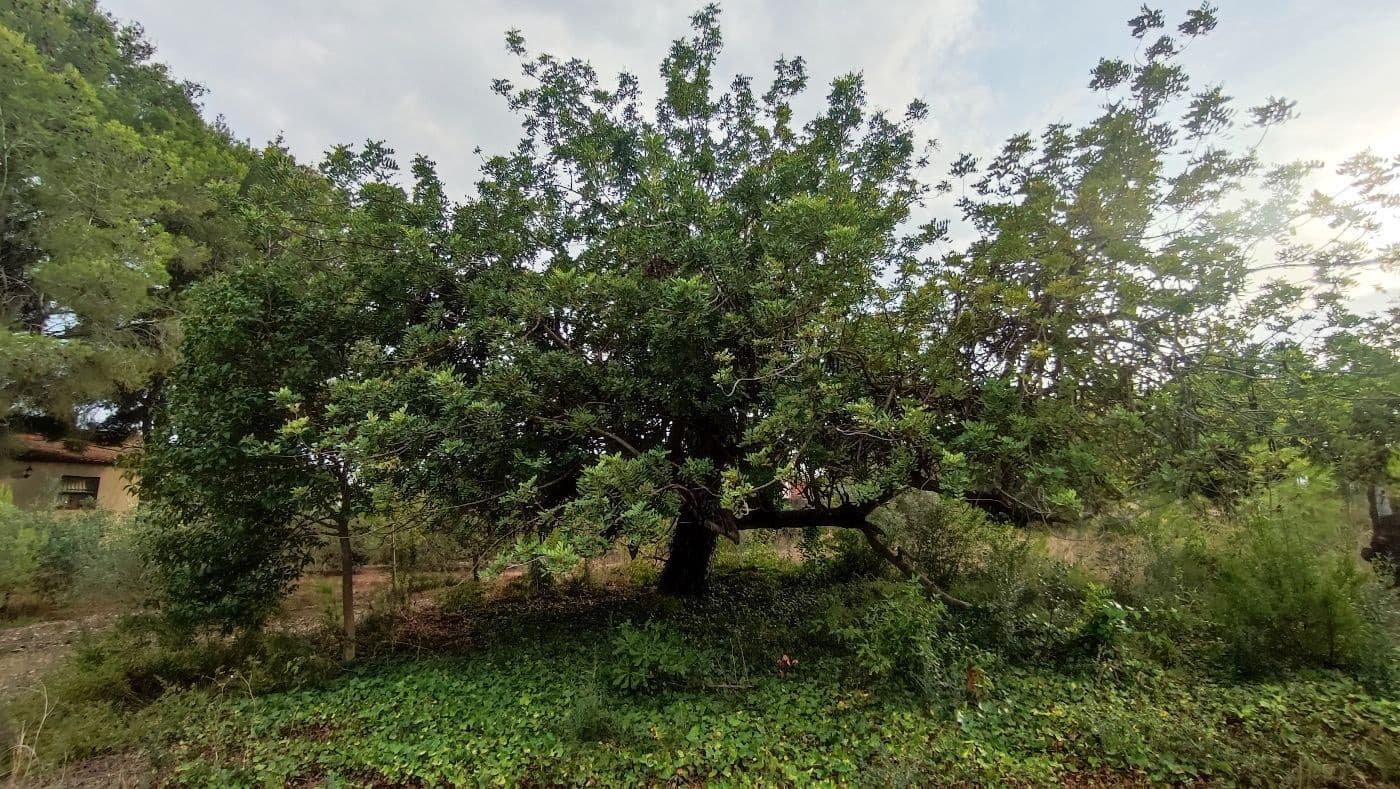 5 chambre Finca/Maison de Campagne à vendre à Valls avec garage - 195 000 € (Ref: 9617961)